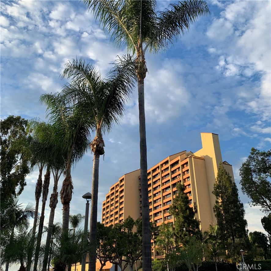 24055 Paseo Del Lago W 411
