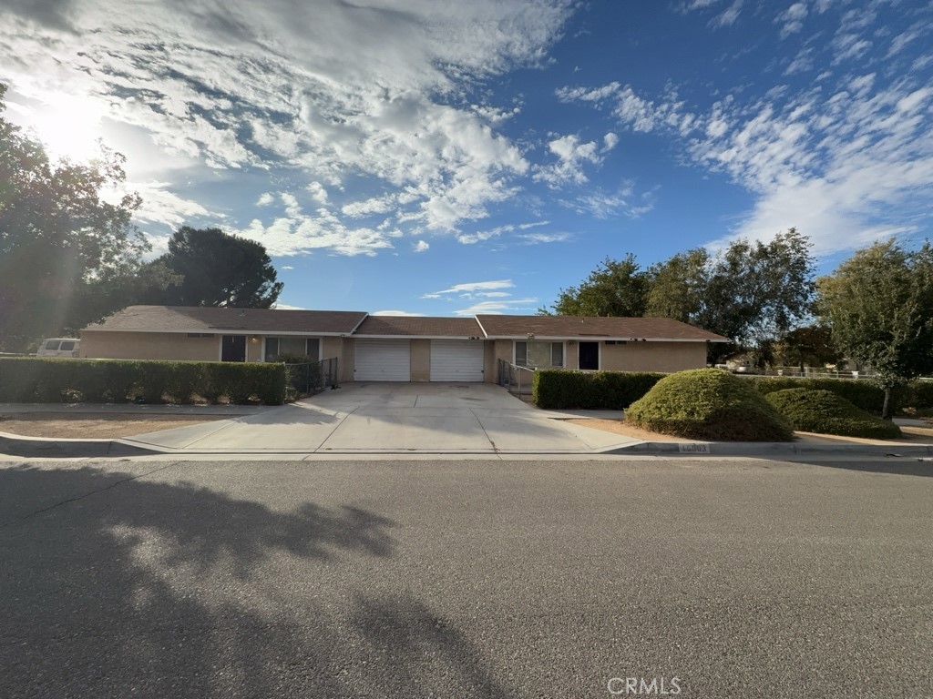 16503 Smoke Tree 1