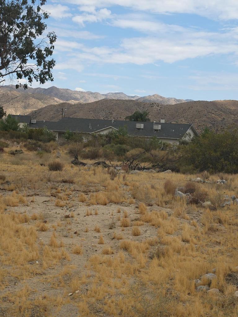 0 Mesquite