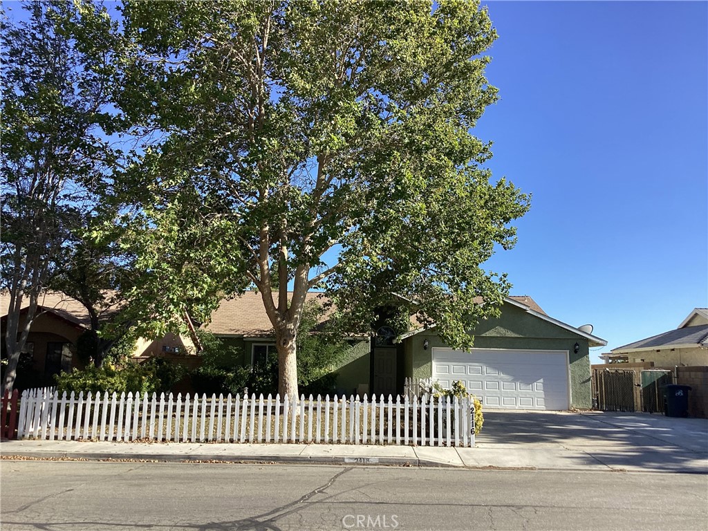 2116 Phlox