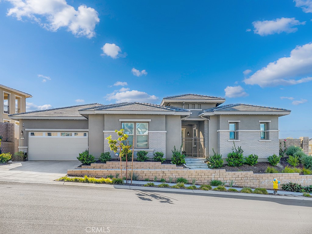 32441 Toyon