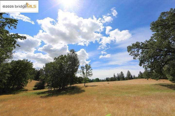 22000 Ferretti Rd.