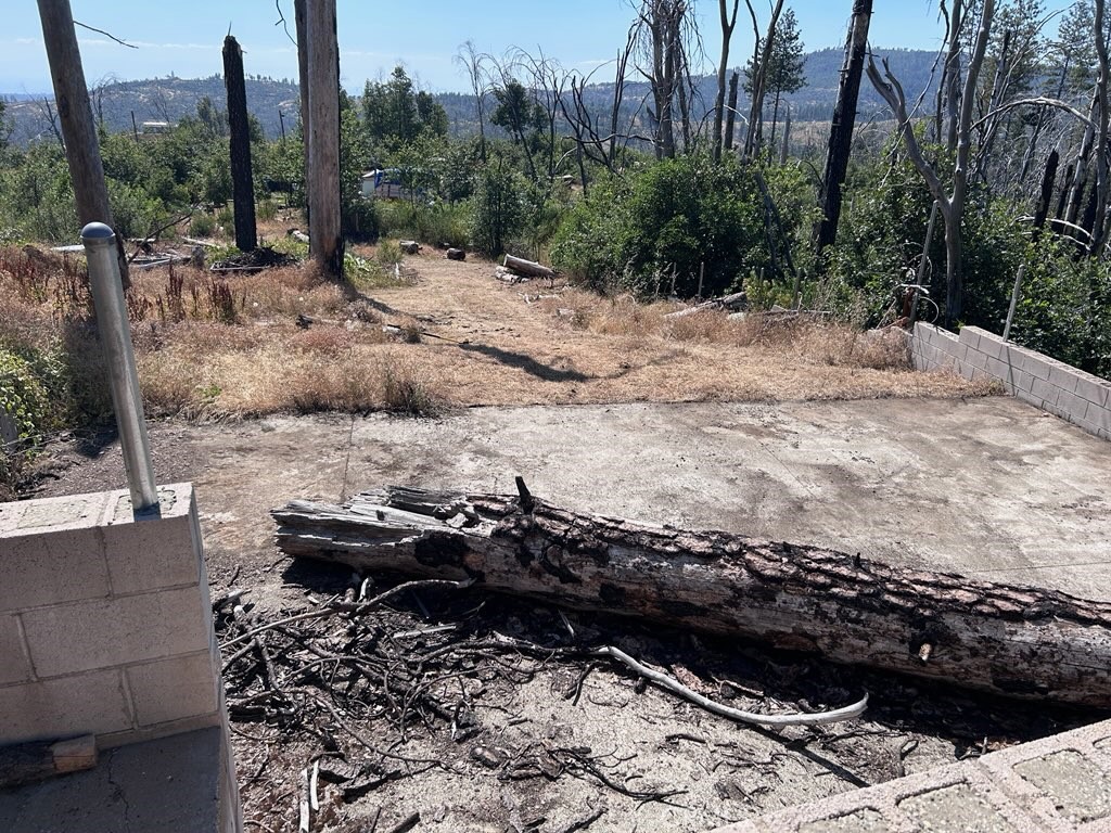 17 Big Oak