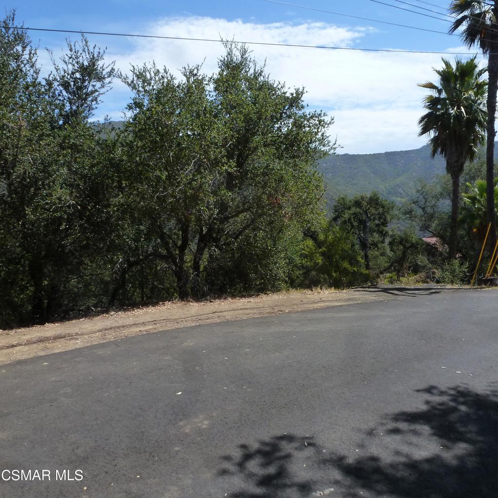 26241 Idlewild Way