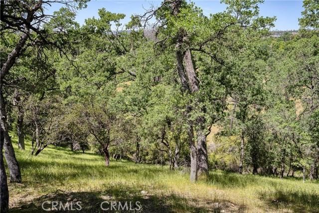 20947 Powder Horn Road