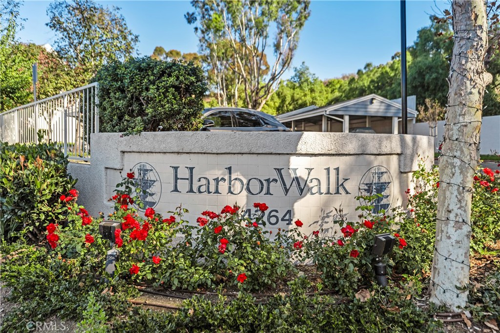34264 Camino Capistrano 309