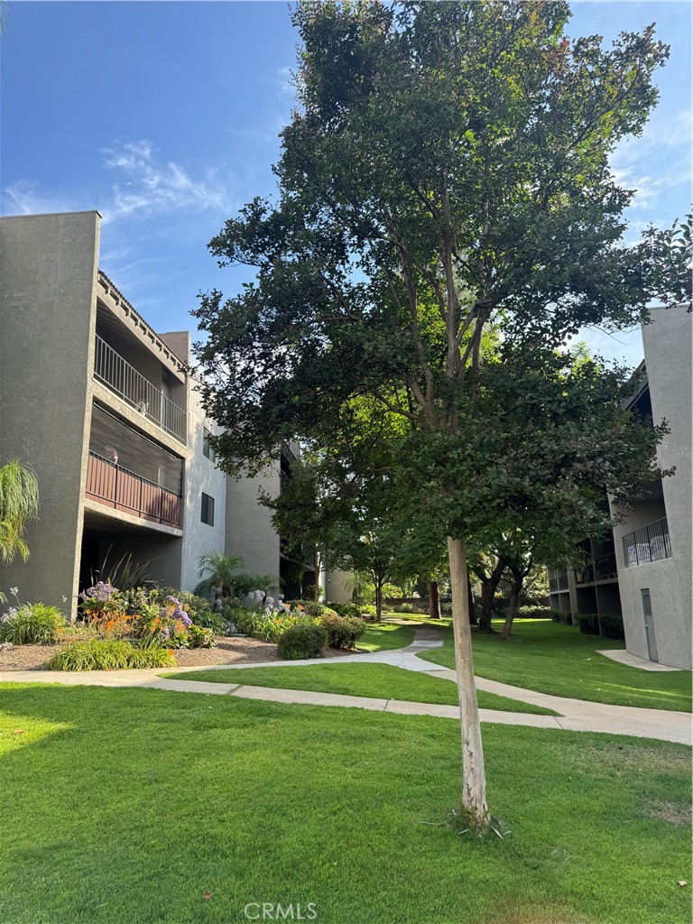 242 E Fern 205