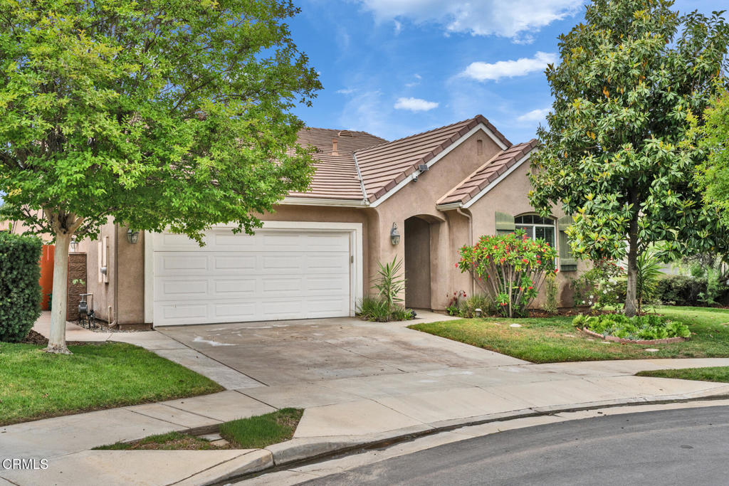 24889 Ash Tree Court