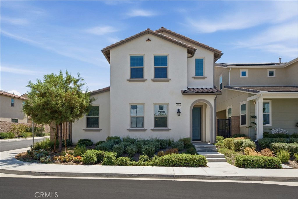 7061 Birch
