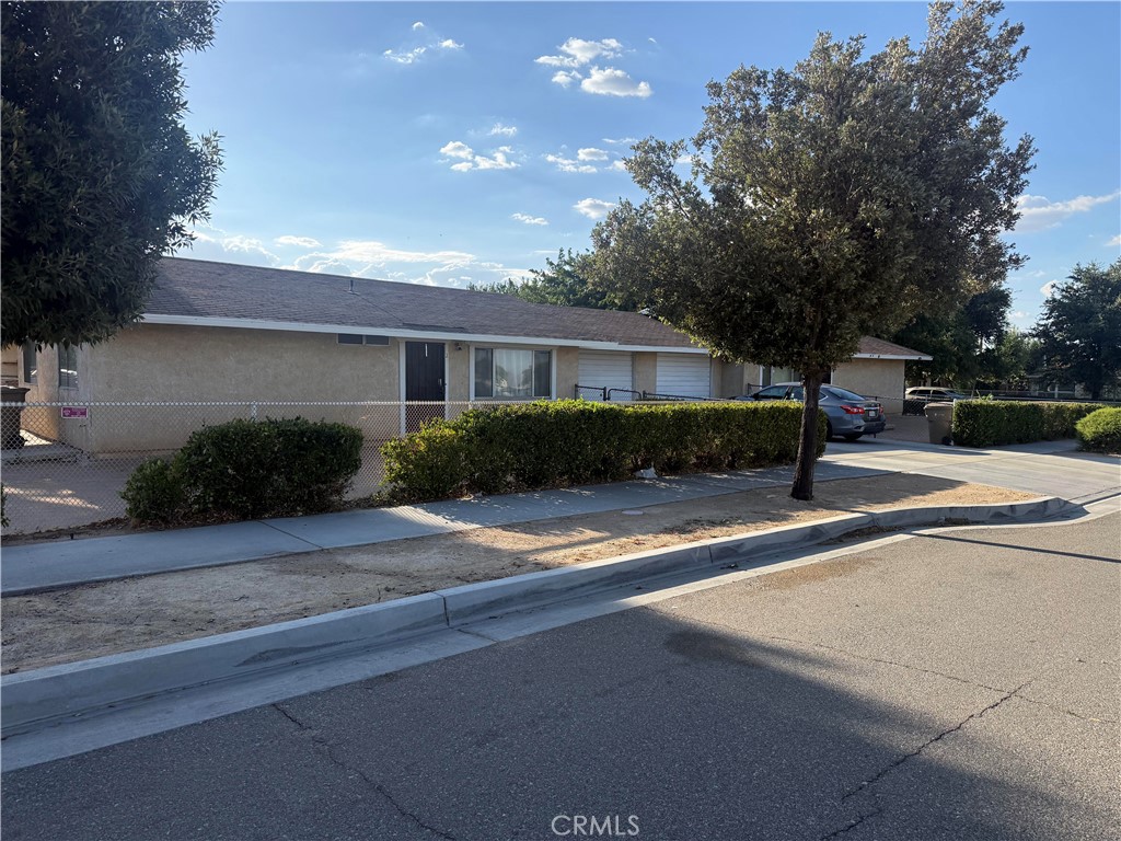 16503 Smoke Tree