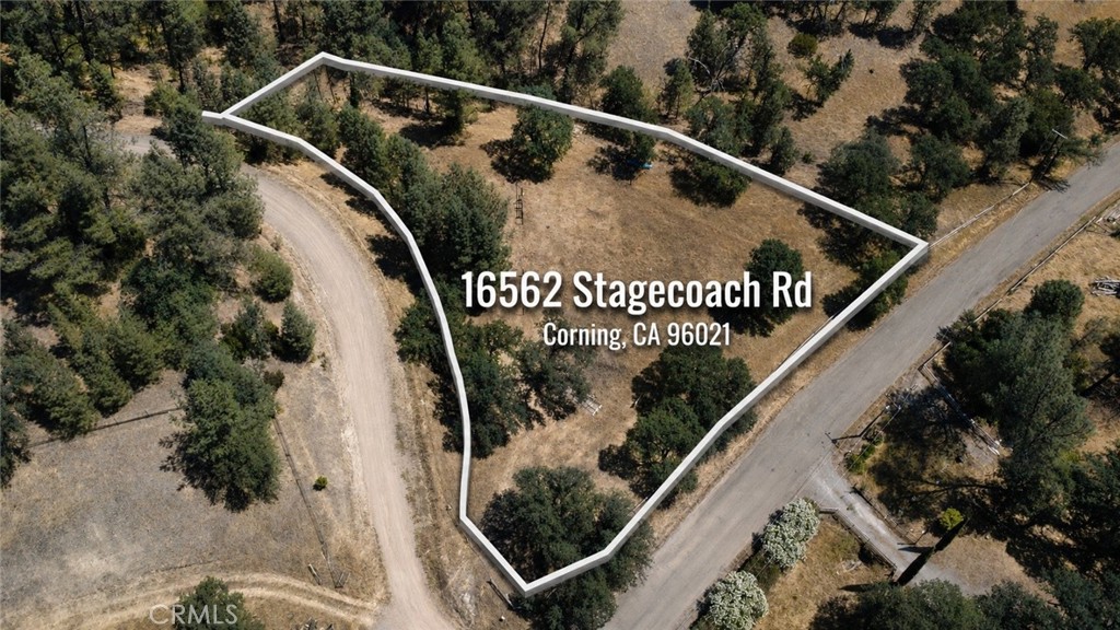 16562 Stagecoach