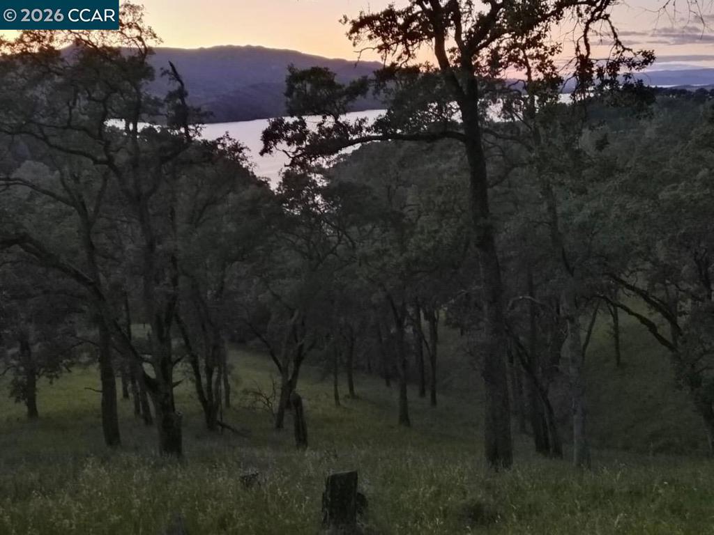 1123 Steele Canyon Rd.