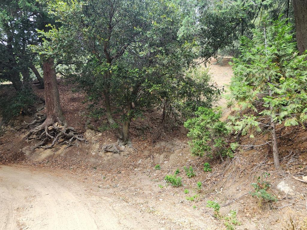 0 Fern Canyon Road