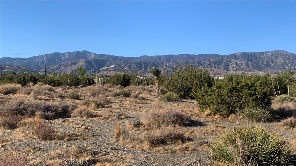0 Yucca Terrace