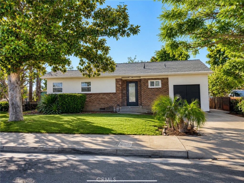 884 Lewis Street