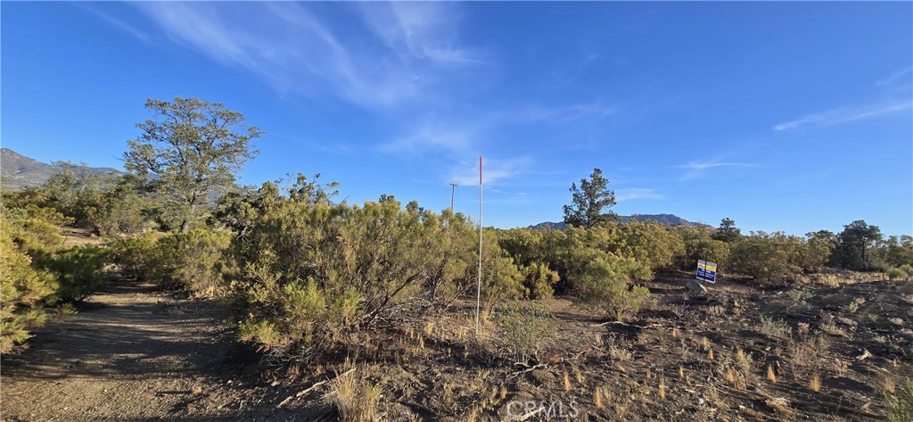 64001 Palm Canyon