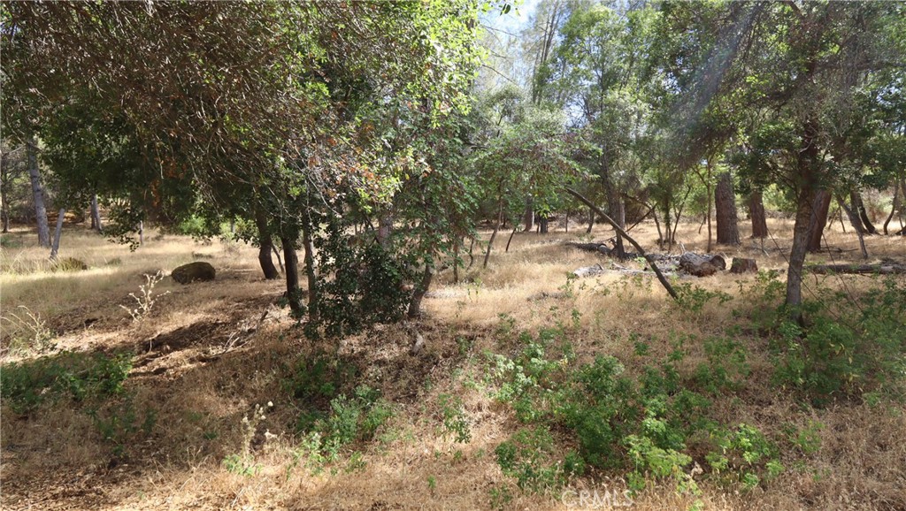 10465 Boren Bega Drive