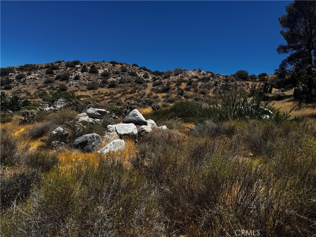 54025 Ridge