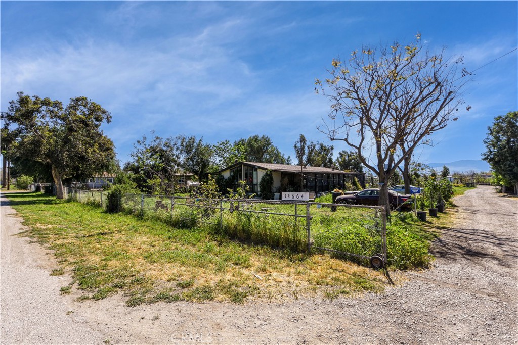 14664 Walters