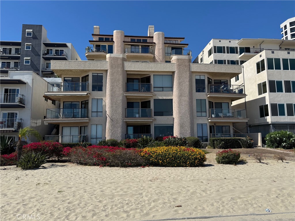 1230 E Ocean Boulevard 503