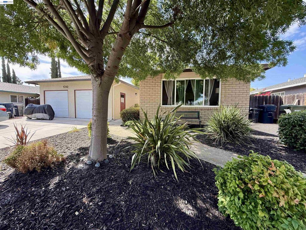 5252 & 5250 Norma Way