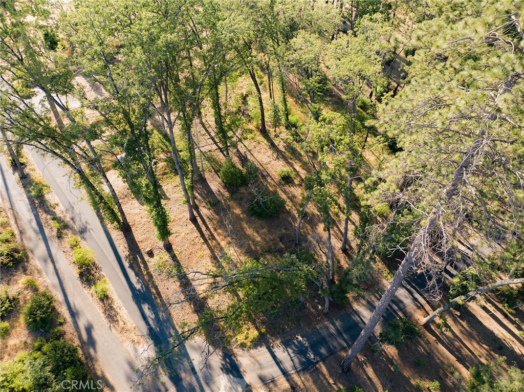1837 Clear Brook Lane