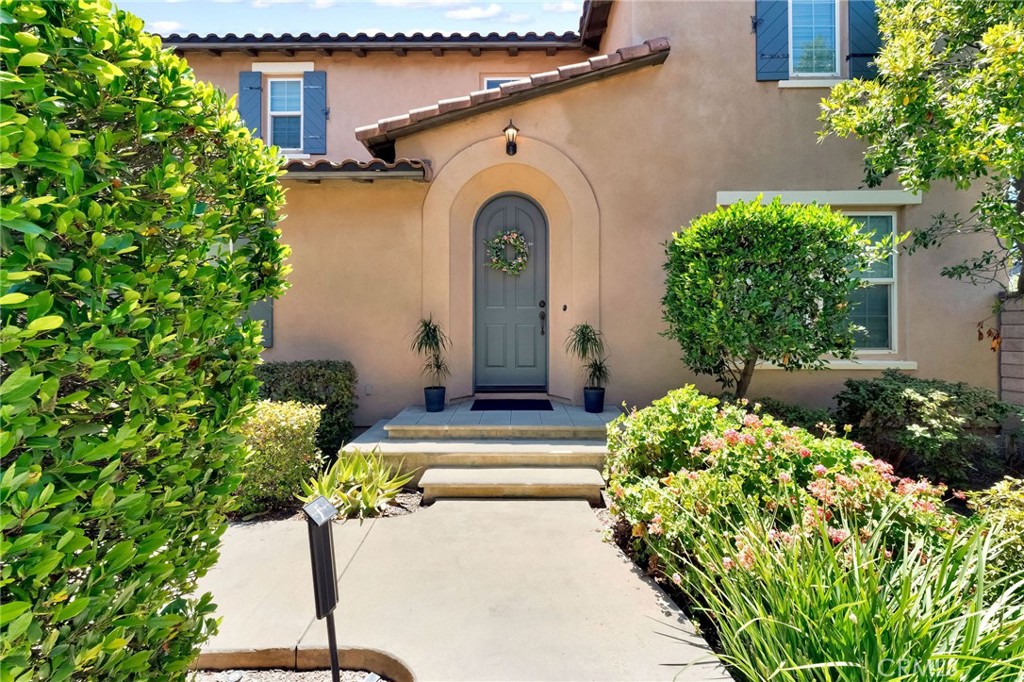 4244 Windspring