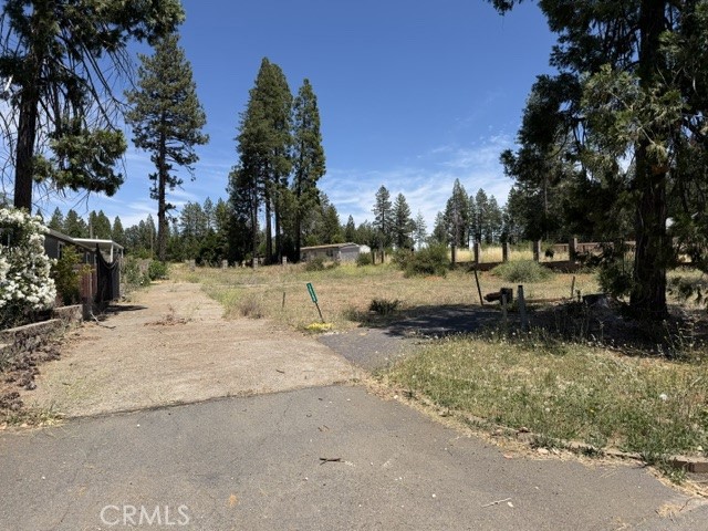 14249 Sherwood