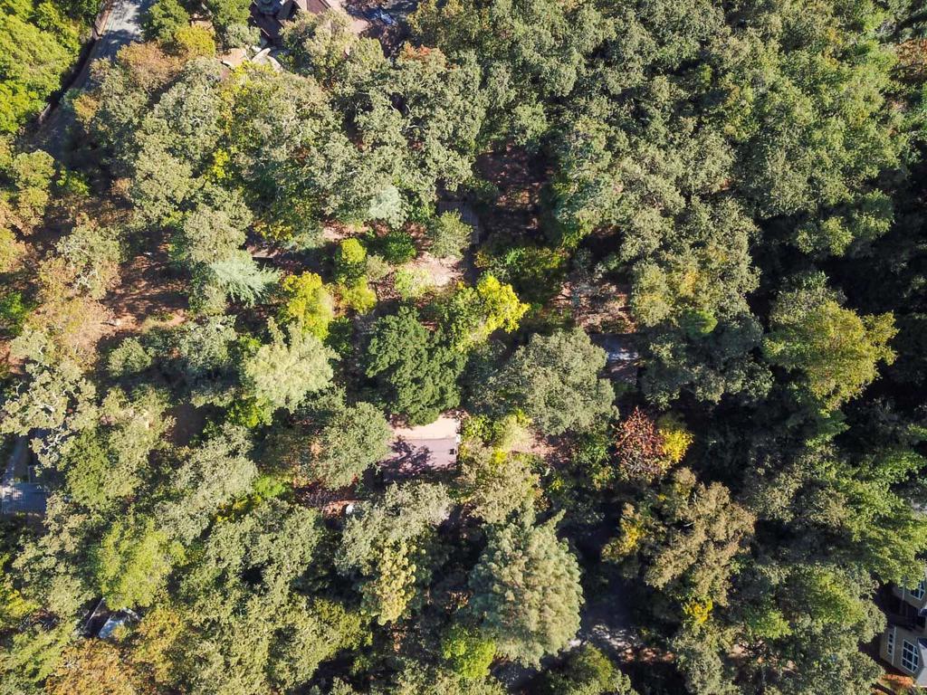 245 Bonita Road