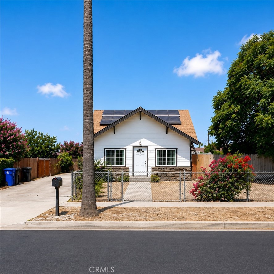 8296 Cypress
