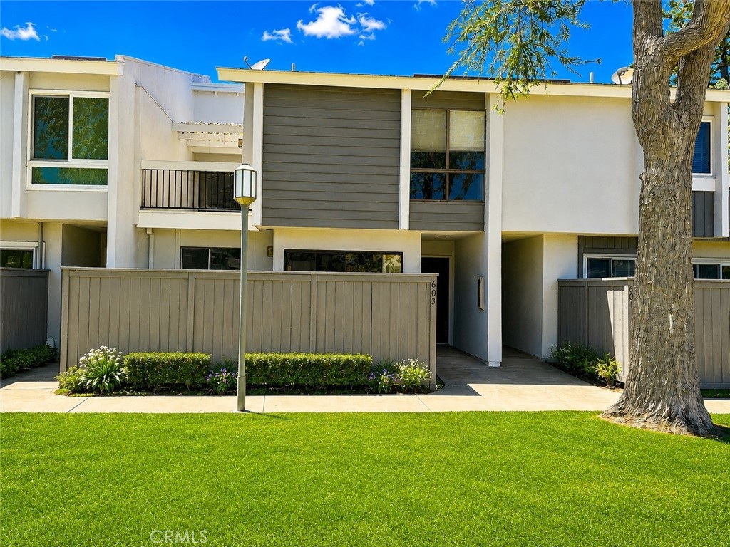 603 Shasta 163