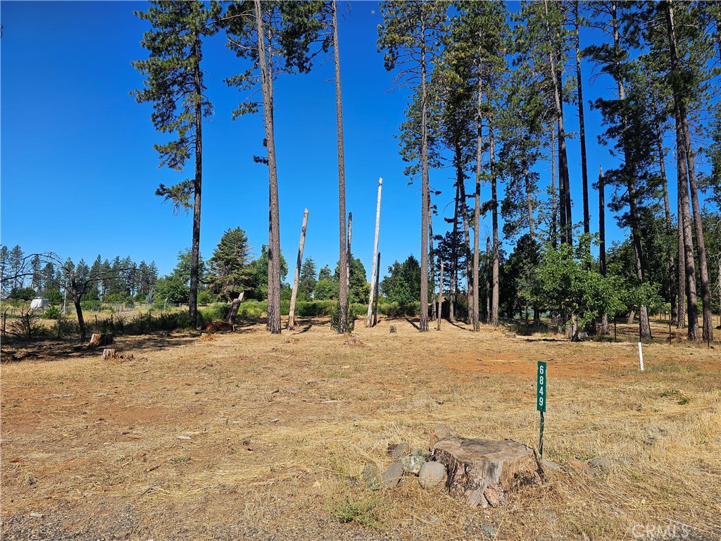 6849 Clark Rd Road