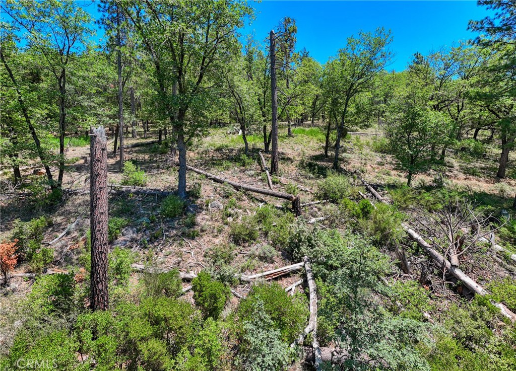 12548 Observation Road