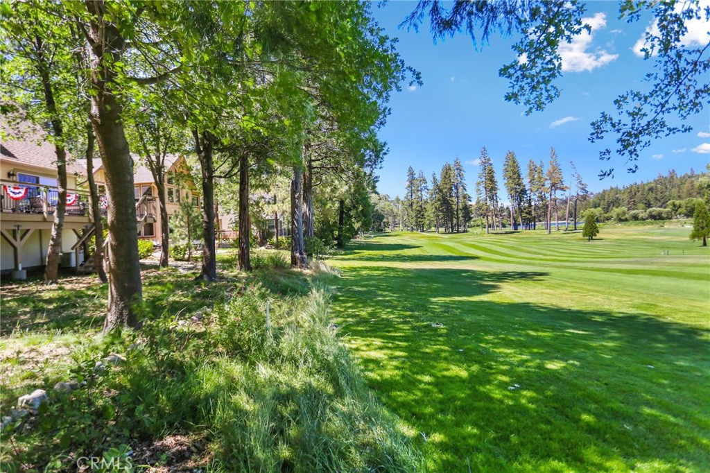 435 Riviera Drive