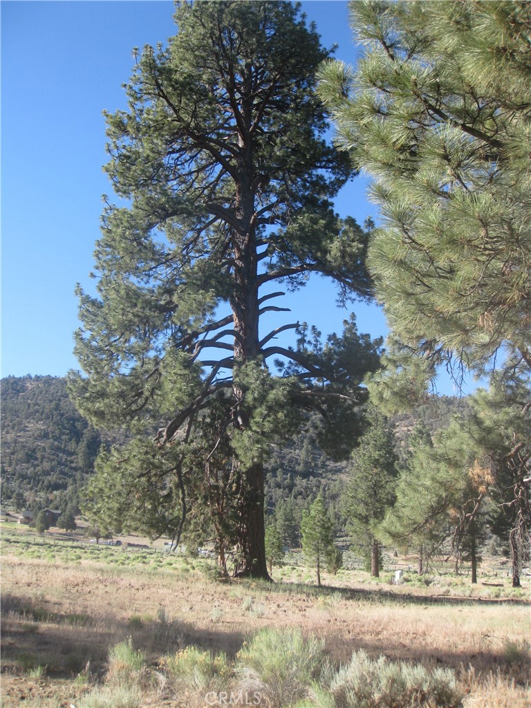 2824 Erwin Ranch Road