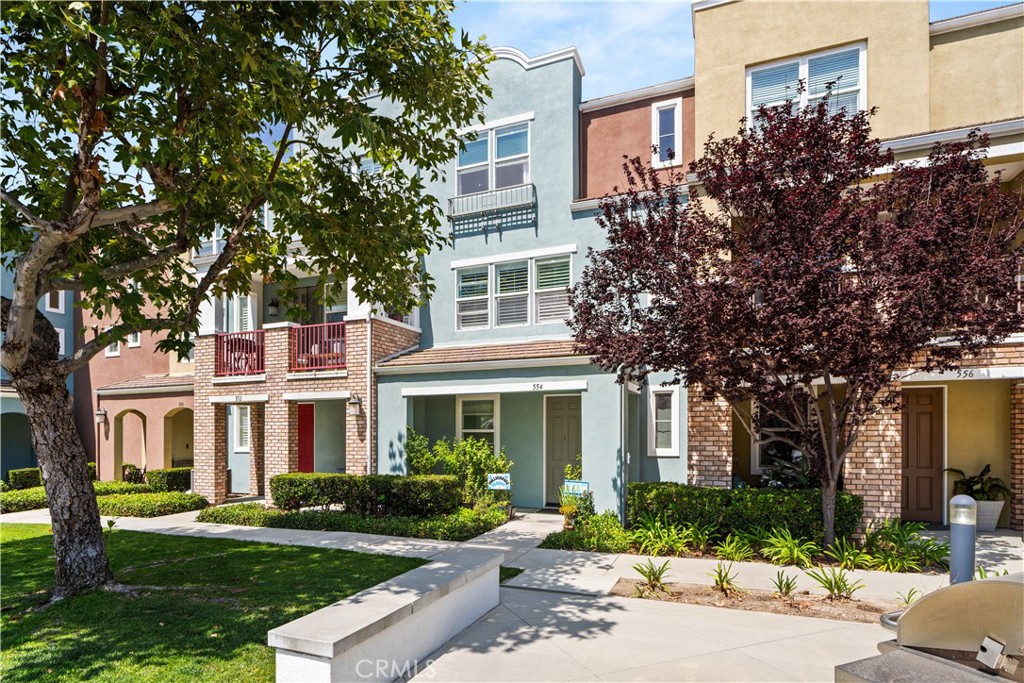 554 N Cabernet