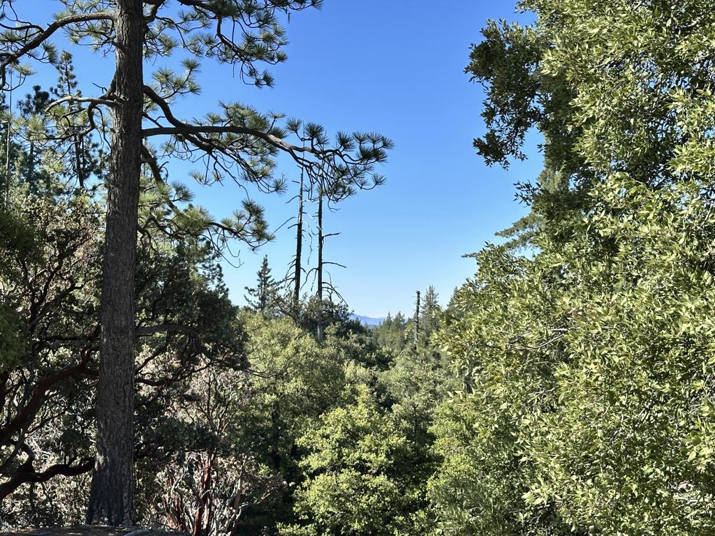 0 Mountain View Drive
