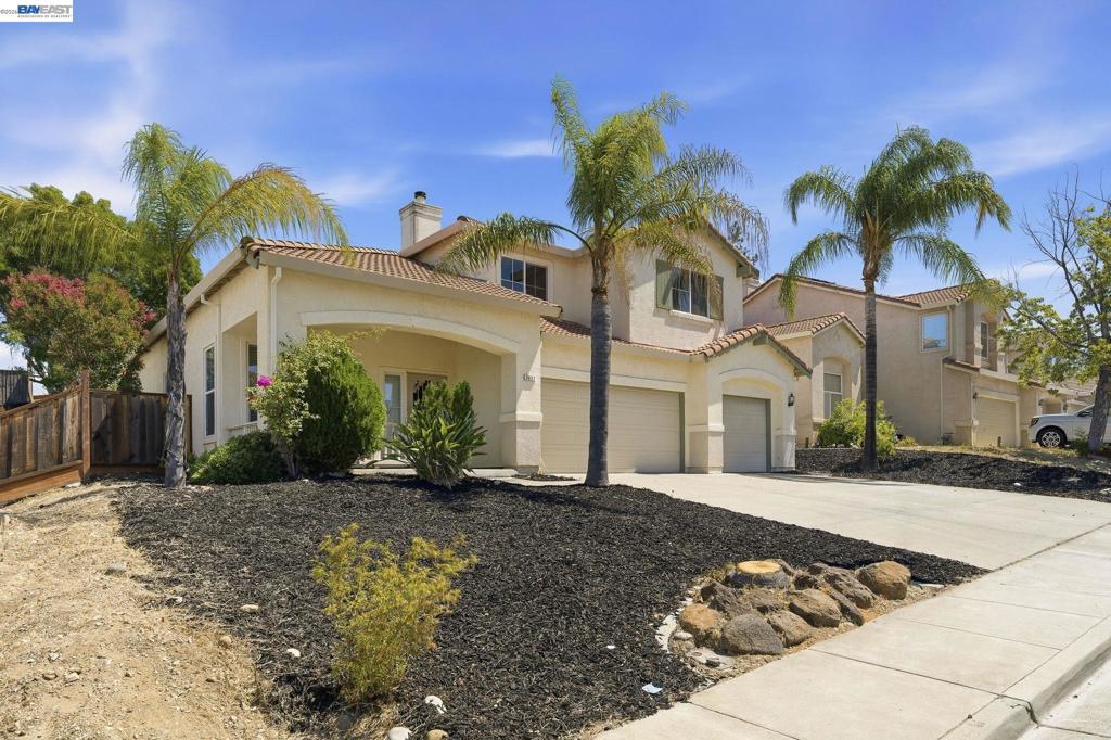 2627 Leopard Way