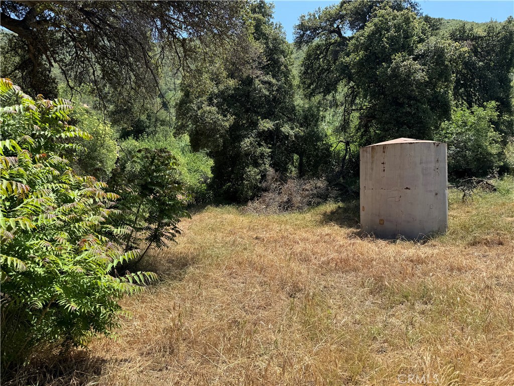 0 San Francisquito Canyon Road