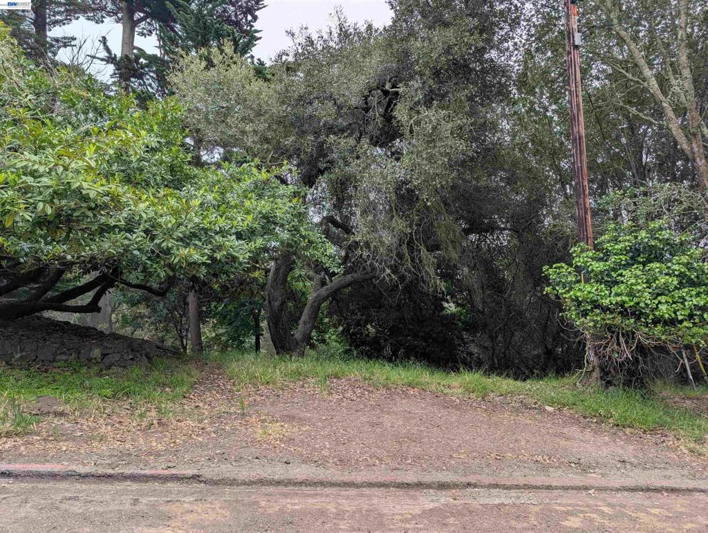 0 Chelsea Ct