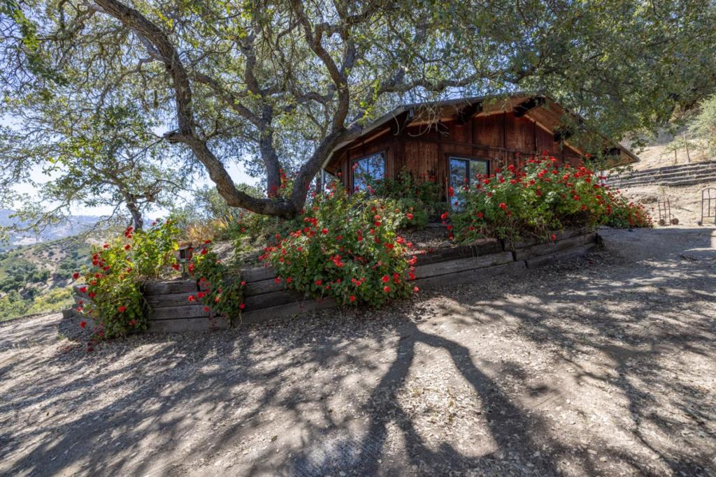 37840 Poppy Tree Lane