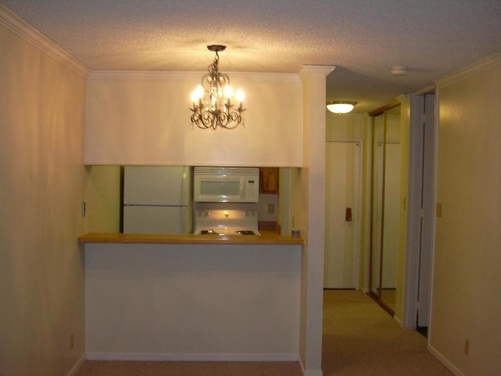 7109 Shelter Creek Lane
