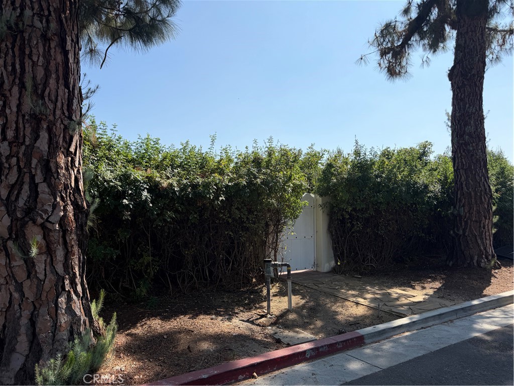 305 W Kenneth Road