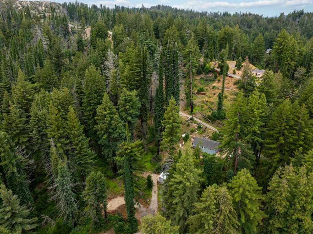 1131 Rambling Road