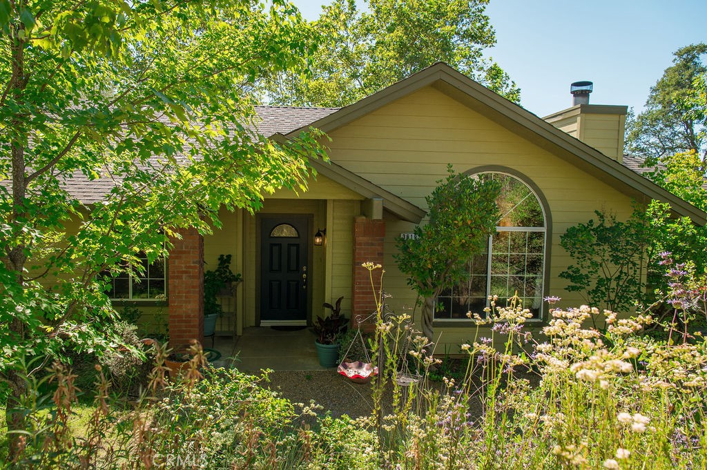3619 Fig Tree Spring