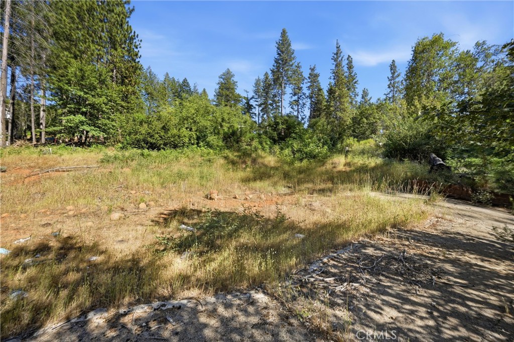 16132 Ponderosa
