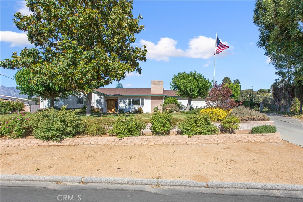 1041 Holmes