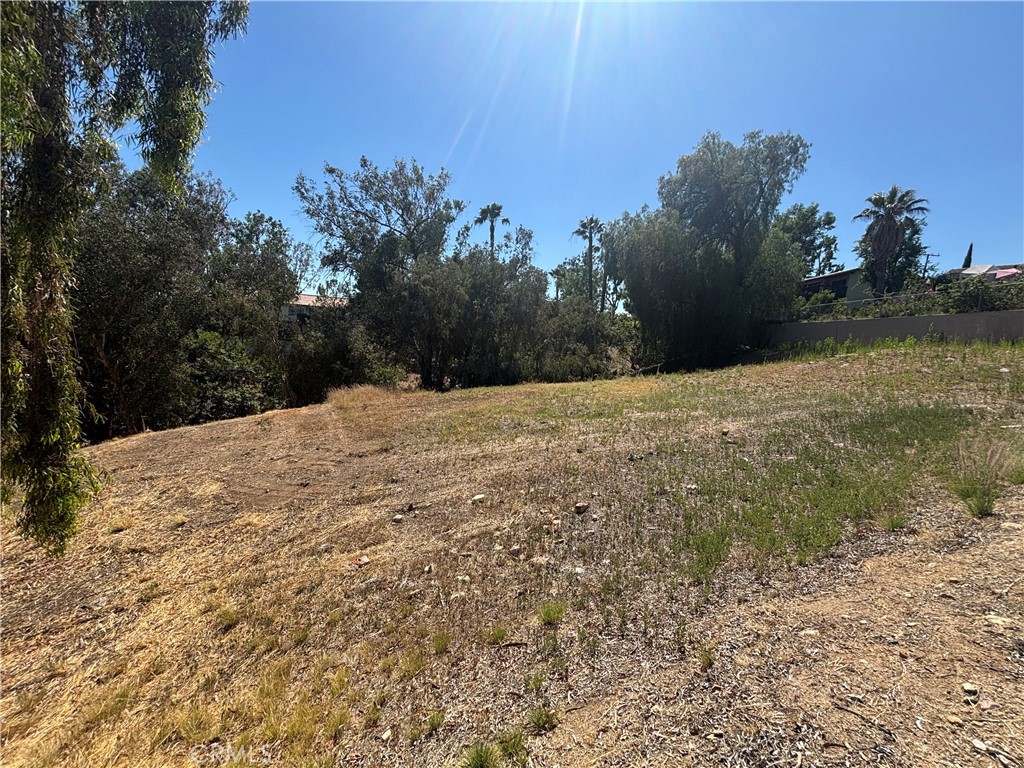 8901 Camino Predera