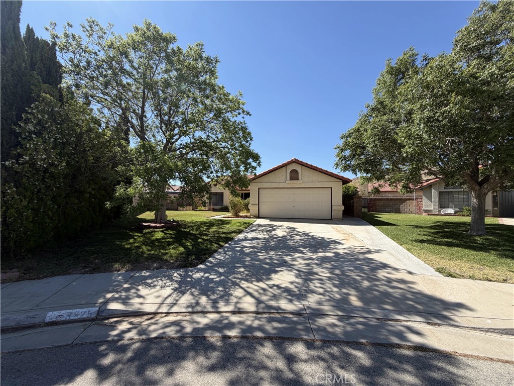 3325 Dale Court