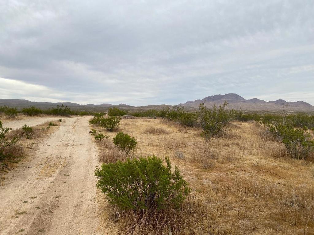 19 Hwy 395